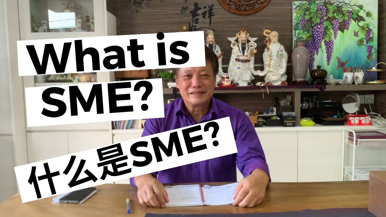 政府经济拯救措施里 SMEs 的定义解说 - YouTube
