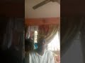 pls guy support me to subscribe pls