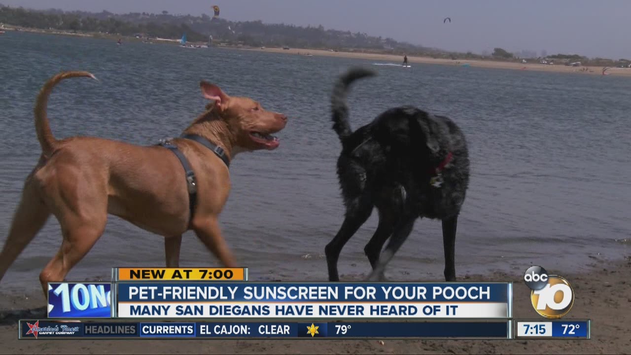 dog friendly sunscreen