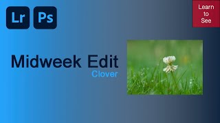 Midweek Edit - Intimate Landscapes | Clover screenshot 2