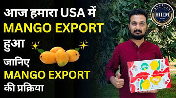 Mango Export By Sagar Agravat