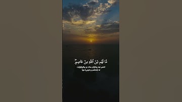 وَالَّذِينَ كَسَبُوا...تلاوة خاشعه بصوت عذب...🥺🌺😭 #القرآن_الكريم #محمد_صديق_المنشاوي #القرآטּ_حياتنا