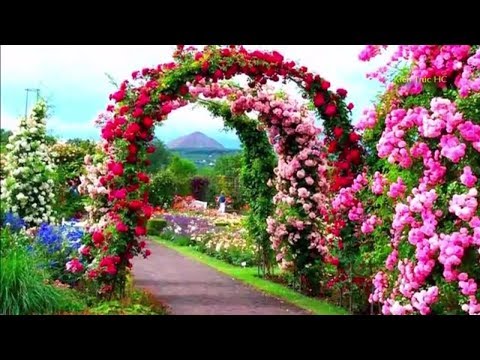 Những Cách Trang Trí Cho Sân Vườn Đẹp Hơn (50 Mẫu) (SV)