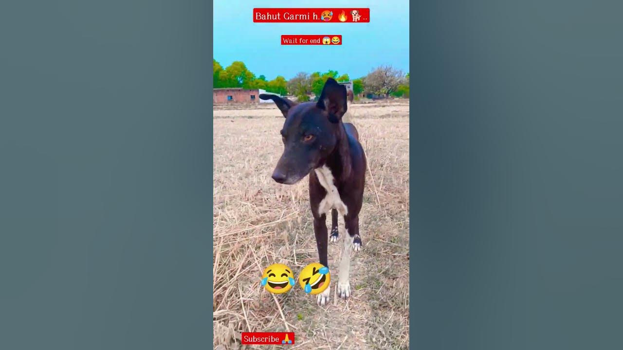 bahut-garmi-hai-tere-mein-jala-kar-rakh-kar-dunga-garmi