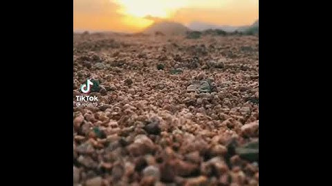 يُدَبِّرُ الأَمرَ مِنَ السَّماءِ إِلَى الأَرض🧡 | تلاوه هادئه للقارئ اسلام صبحي🍂