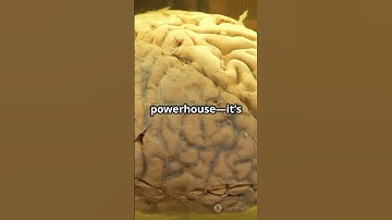Science Myth Busted: We Only Use 10% of Our Brain? #shorts #facts #foryou #fyp #2025 #myth