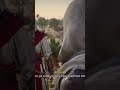 Assassin’s creed : Mirage #assassin #creed #assassinscreed #assassinscreedmirage #assassinarmy