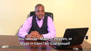 1.5 Generations Of Noah