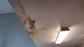 Tenants disgusted with ongoing maintenance issues