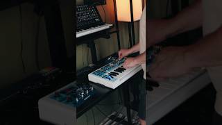 MS-20 vs Bass Station II: Battle of the Mono Synths #synth #synthesizer