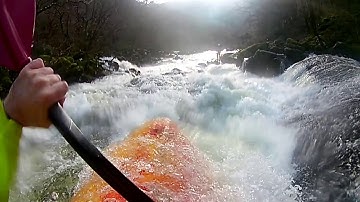 Upper Dart - Euthanasia