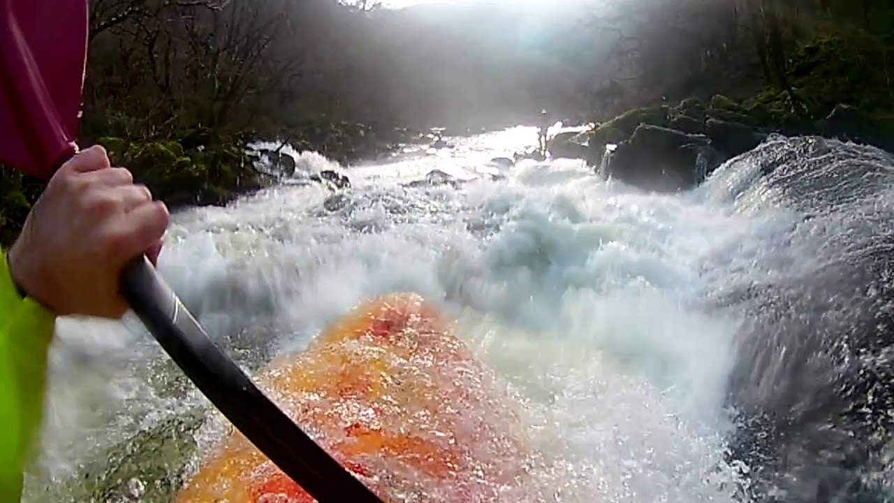 Upper Dart - Euthanasia