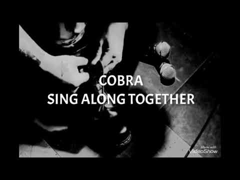 COBRA   -SING ALONG TOGETHE-   叩いてみました