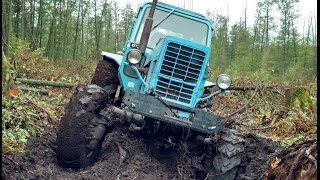 МТЗ-82 Болотоход  (MTZ-82 swamp buggies)