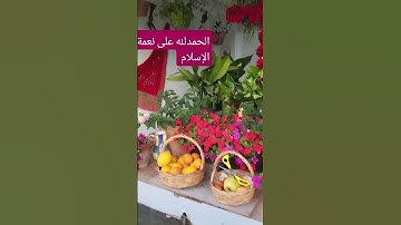 #تلاوة_خاشعة #إسلام_صبحي #تلاوة_هادئة #خواتيم_سورة_المؤمنون #قرآن_كريم #trending #اكسبلور
