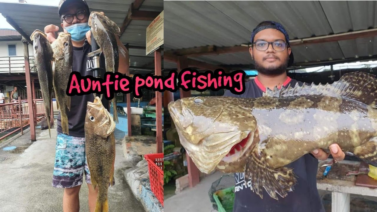Auntie pond fishing frenzy YouTube