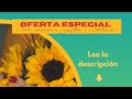 🔴 TAROT en DIRECTO 🔴 especial Solsticio de Verano / Litha / San Juan | HADA VERDE TAROT