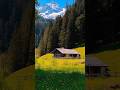 Relaxing nature sound/Nature sound for sleep/ sleeping music/peaceful music for deep sleep #travel