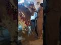 #cow #bull #animal #eiduladha2026 #bakraeid