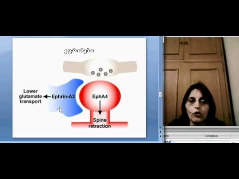 თ.ლორთქიფანიძე  ლექცია 9.3