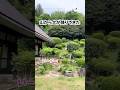 颯爽と駆け降りて来た!|PECO