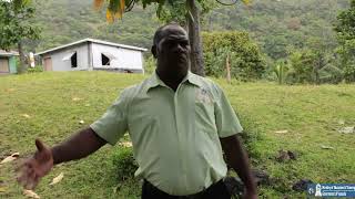 Yenumakel and Ipekel