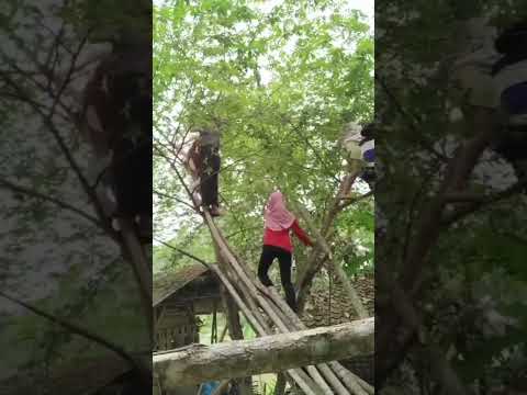 Jangan Cobain Kalau Ngga Mau Kaya Mereka #luculucuan #videolucu #lucu  #lucungakak #videolucushorts