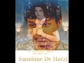 Michael jackson earth cover song sunshine de harzi