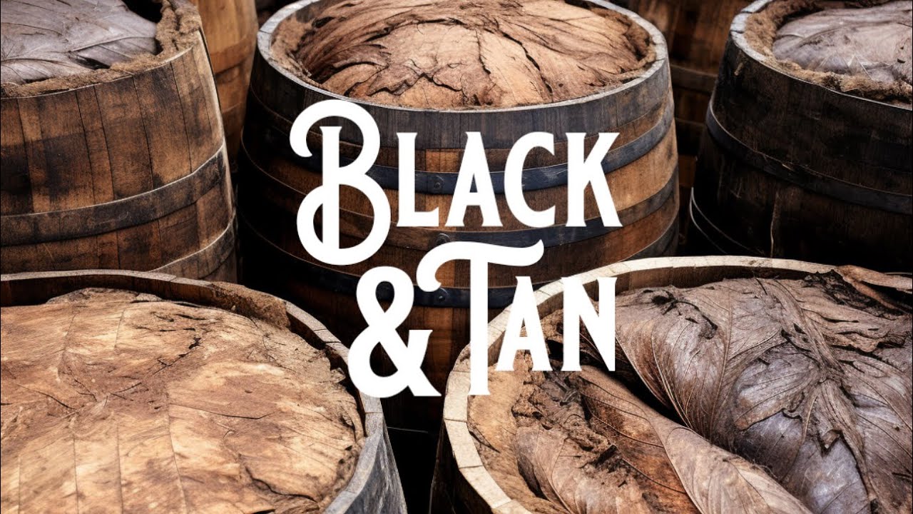 REVIEW | Black and Tan, The Country Squire