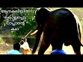 അകാലത്തിൽ കൊല്ലപ്പെട്ട ആനപാപ്പാൻ| Kandassankadavu kannan| Ookans kunju attack|Elephant attack|sree 4
