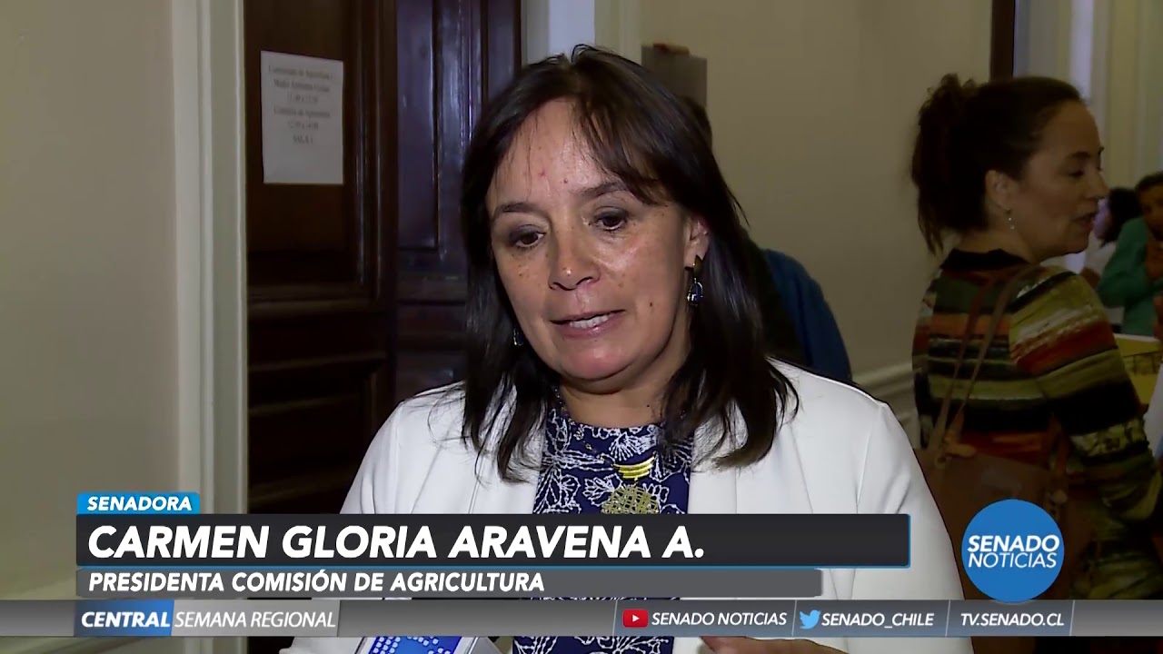 Senado Noticias - Edición Central - 30 de Enero 2019