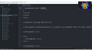 CSS Professional Bangla Tutorials | 27th part | CSS Combinators | | LPLWS Web Design