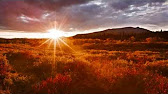 Peter Bradley Adams-The Longer I Run - YouTube