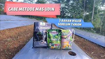 CABE METODE MAS UDIN • PENGOCORAN SEBELUM TANAM