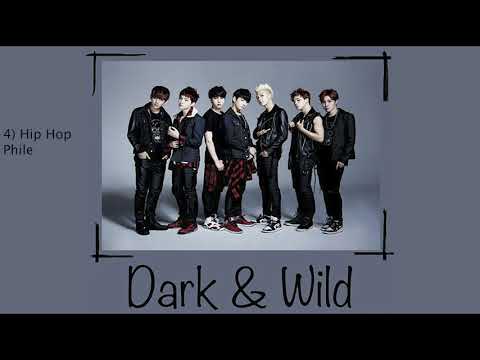 Dark N Wild Album Compilation