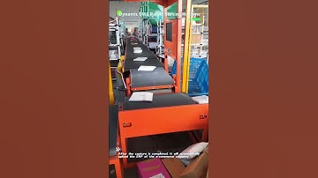 Dynamic DWS Parcel Sorting Machine #parcelsorter #parcelsorting #sortingchallenge #sortingmachine