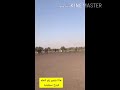ههه محمد تقي شو بل الحله ماحركت وعلي الي يجيب طاري الحله انصلخه بل شحاطه 