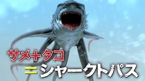 『シャークトパスVSプテラクーダ』予告編
