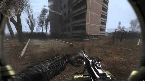 A surly pseudodog stalks a STALKER stalking STALKERs