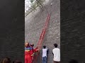 Ninja Cat Saved