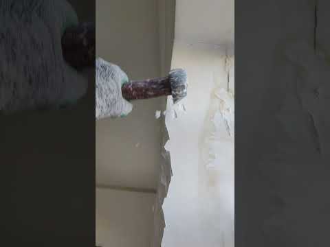   اینجا خوش میگذره سابسکرایب کن   