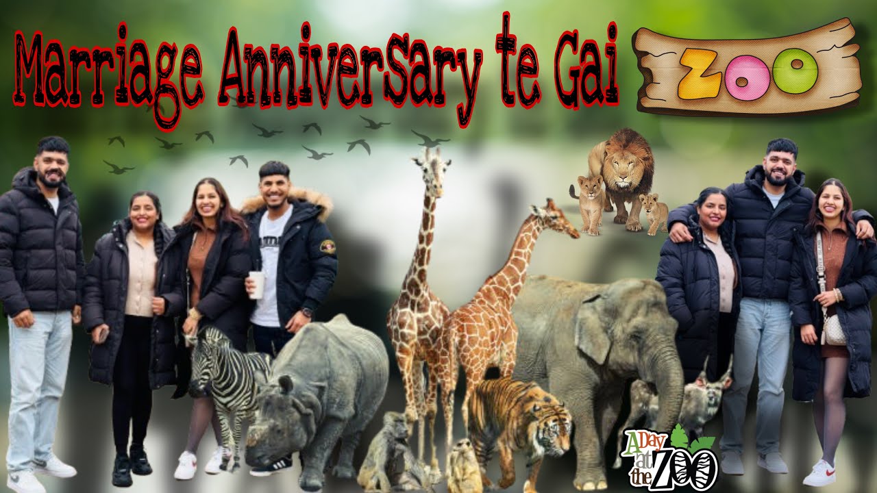 Sehaj Manni Nall kita Marrige Anniversary te Funn Te Gai Zoo 🦁Tanu Nall Kiti Gall