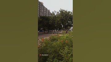 A Rainy Day🌧️☔ #beautiful #ahemdabad #rain #love #monsoon #rainyday #viral #shorts #subscribe 🕊️