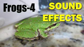 Frog Sound #4 | Sound Effects
