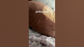 wow#shorts#loop#transition #wow