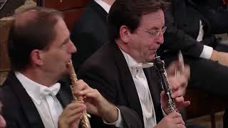 Beethoven - Symphony No 7 in A major, Op 92 II, Allegretto (Thielemann) screenshot 5