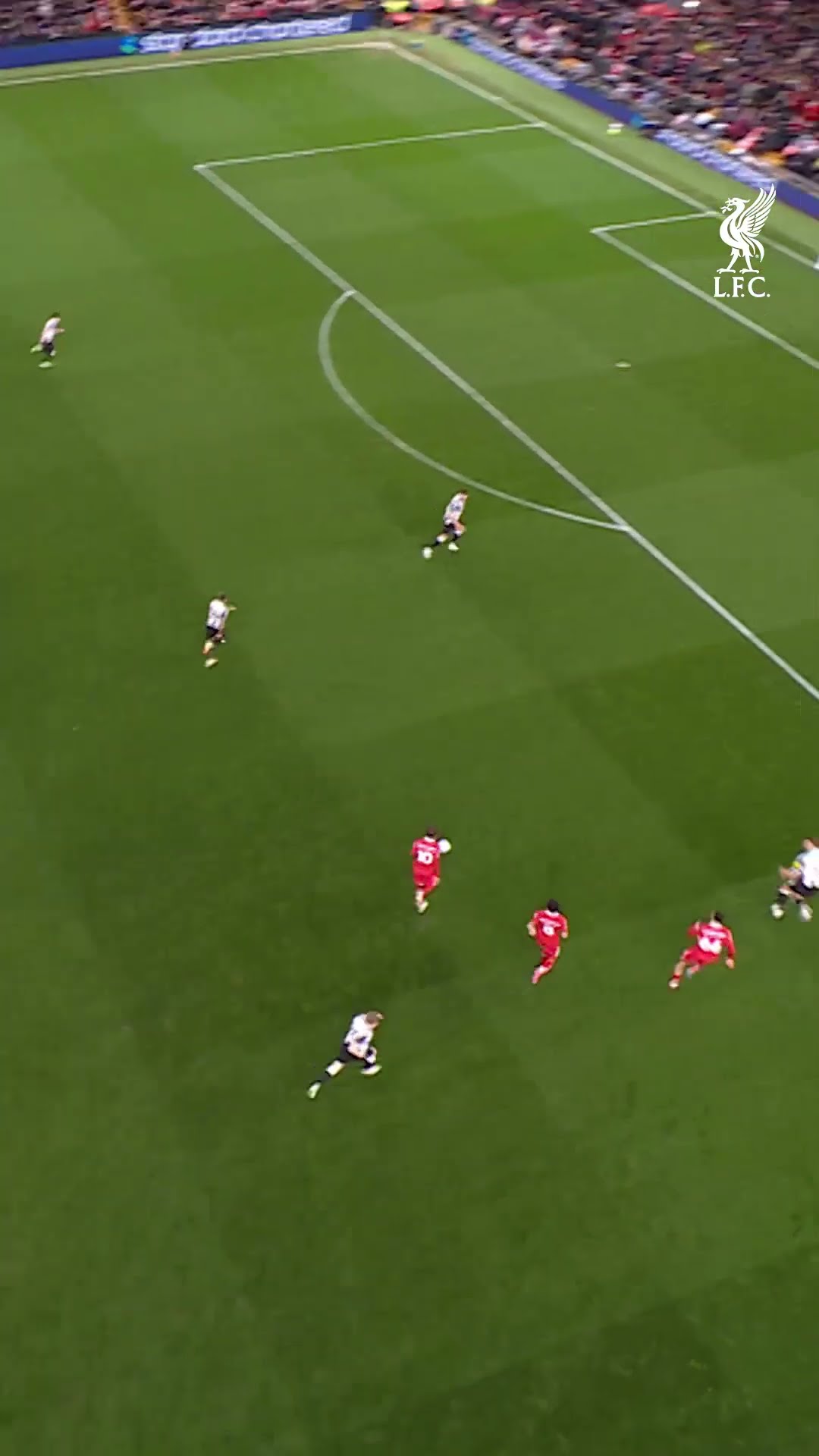The BEST view of Mac Allister's goal! ?