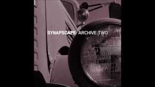 Synapscape - Something You Should Know