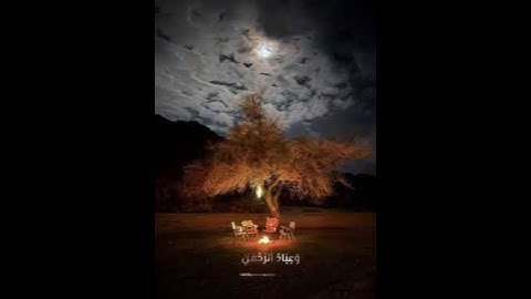 أرح سمعك 🥀القارئ: عبد الرحمن الحميداني 🍃حالات واتس آب