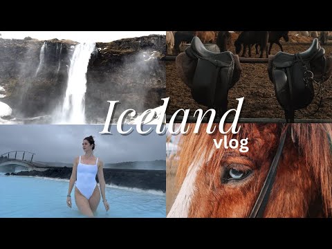 come to Iceland with me!!!! riding Icelandic horses, blue lagoon, waterfalls, girl chat and more!!!